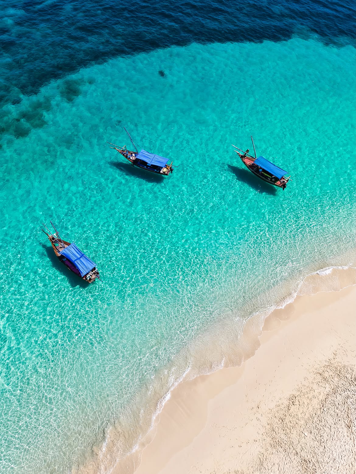 Visit Zanzibar