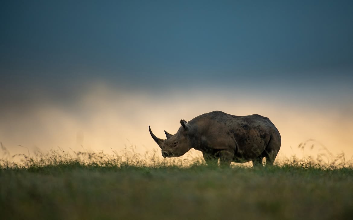 Serengeti In Depth — 7 Days
