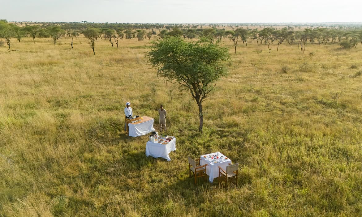 Bush breakfast on the Serengeti with Conserve Safari guides