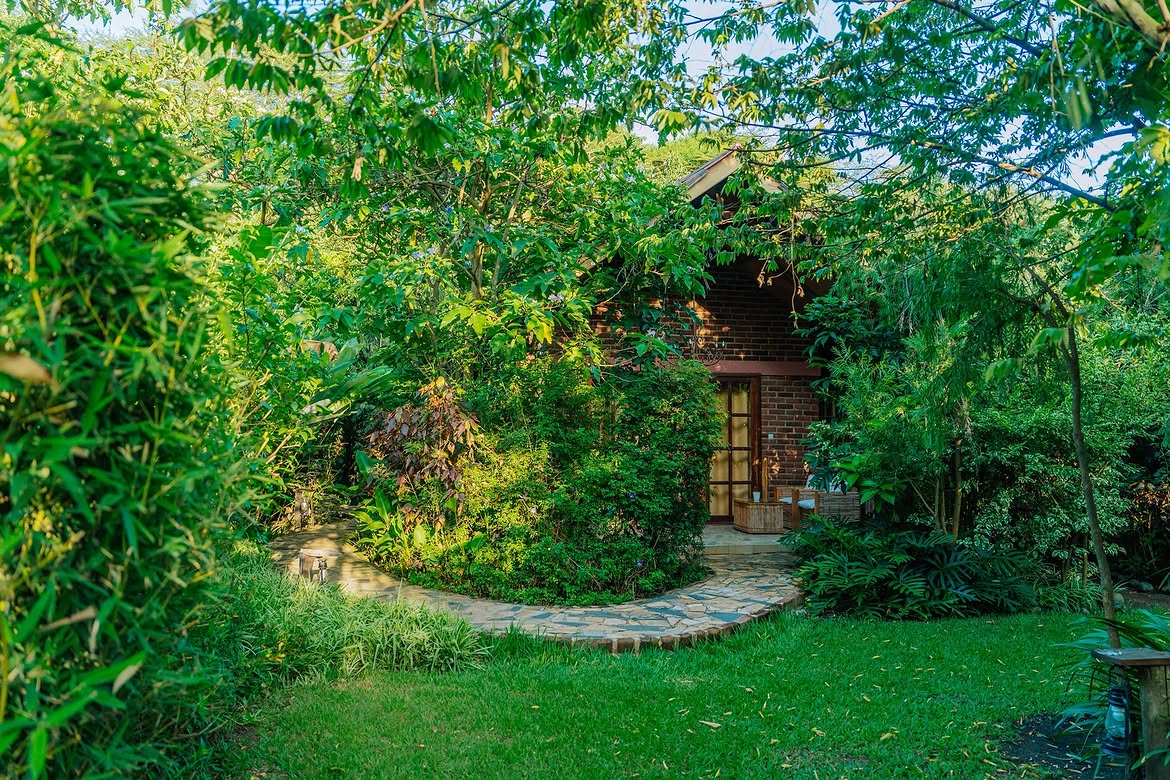 Garden cottage nestled in greenery at Under The Shade Safari Lodge