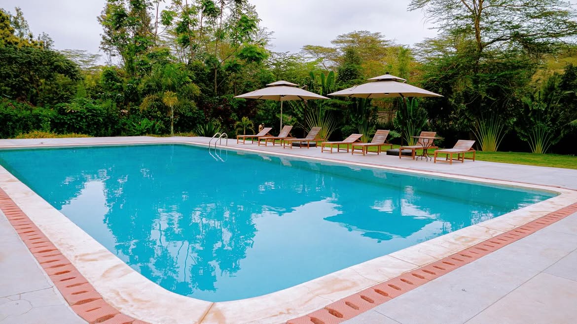 Swimming pool with loungers and umbrellas at Under The Shade
