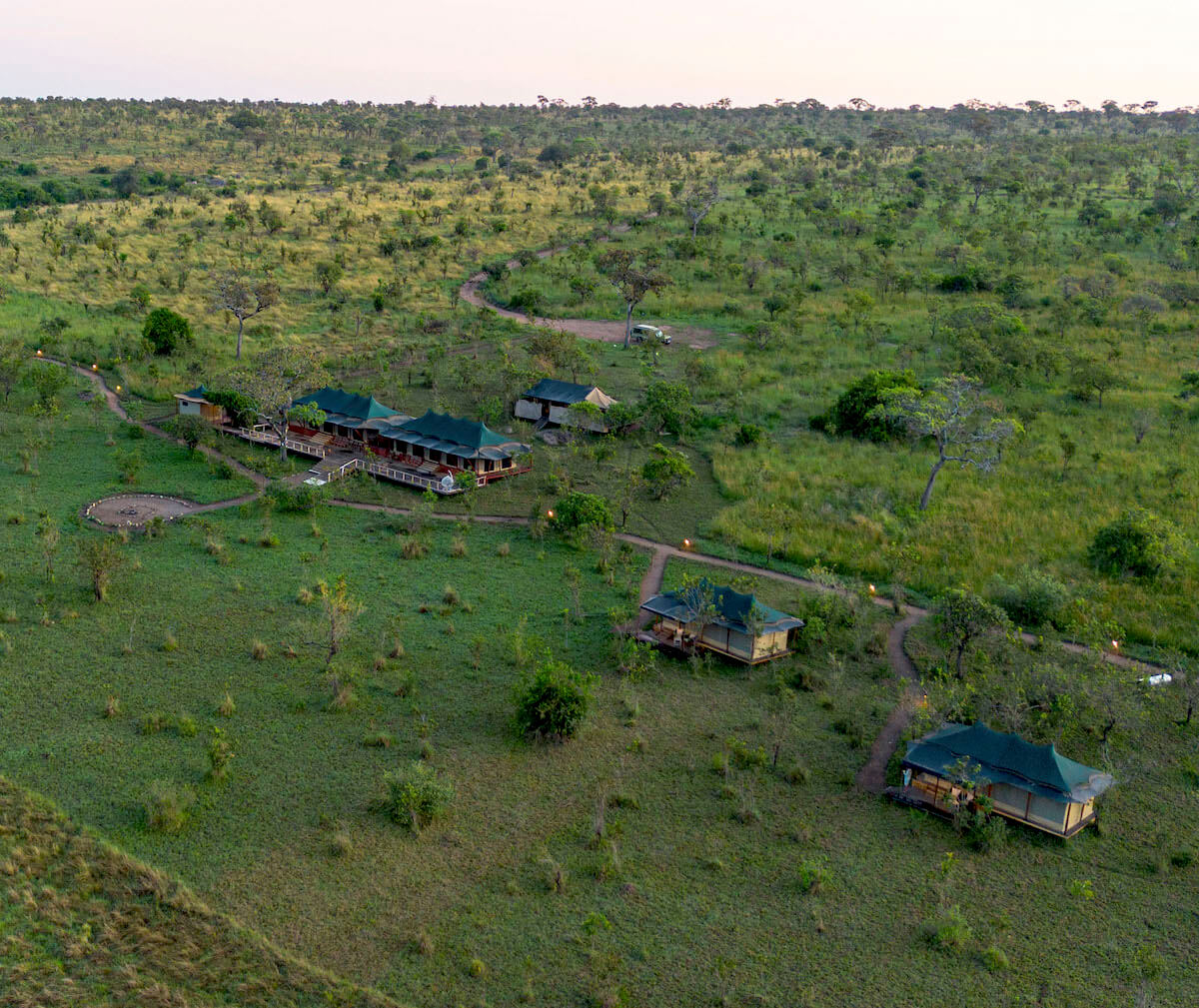 Baobab camp nestled in the bush at dusk