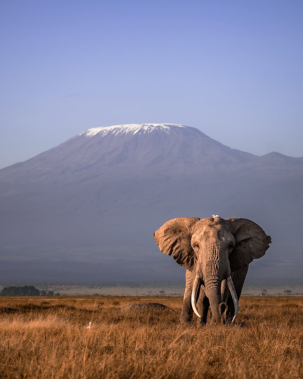 Kilimanjaro Marangu Route — 6 Days