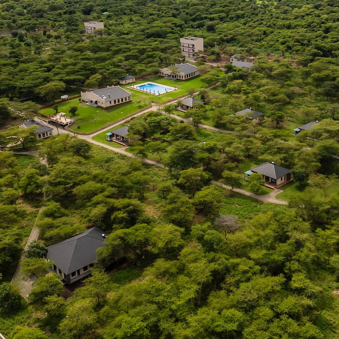Aerial view of Aya Sophia Wildlife Villa grounds and pool
