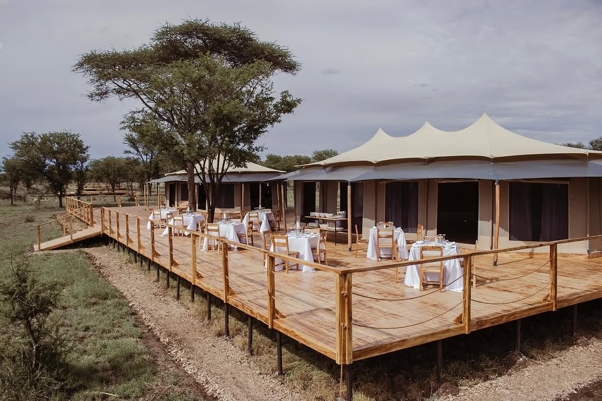 Conserve Safari raised dining deck under acacia trees