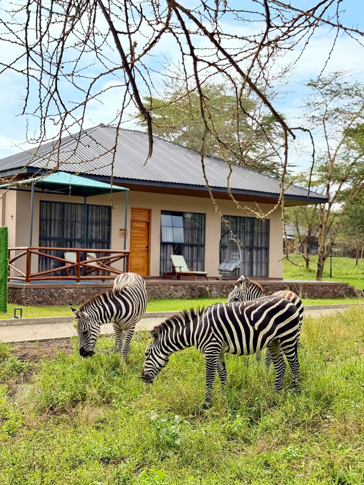 8-Day Beach & Safari Zanzibar and Serengeti Tented