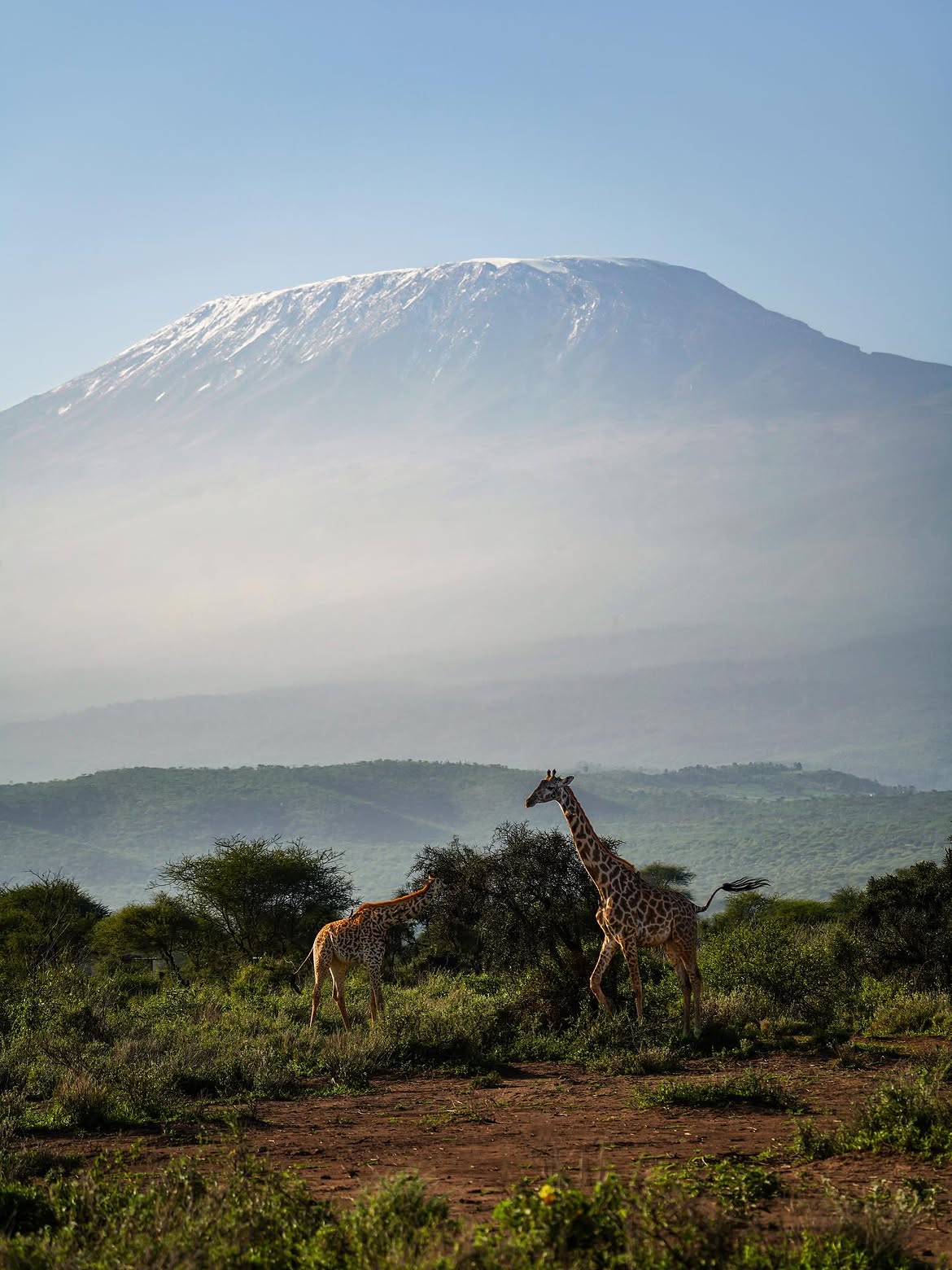 Kilimanjaro Machame Route — 7 Days